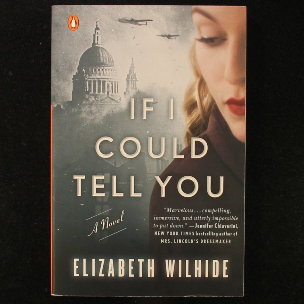 If I Could Tell You by Elizabeth Wilhide - Paperback